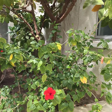 The Originals City, Relax'otel, Le Barcarès